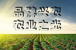 農(nóng)業(yè)品牌化才是農(nóng)民走上致富的關(guān)鍵道路之一