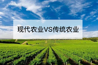 現(xiàn)代農(nóng)業(yè)VS傳統(tǒng)農(nóng)業(yè)，誰(shuí)會(huì)更勝一籌？