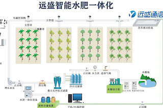 如何選擇水肥一體化設(shè)備？從這幾個(gè)方面入手！