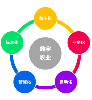 對(duì)數(shù)字農(nóng)業(yè)的理解.png