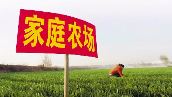 什么是家庭農(nóng)場(chǎng)？.jpeg